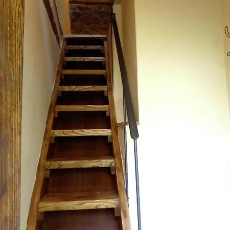 Dg Apartment