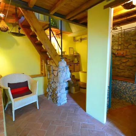 Dg Apartment *