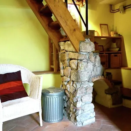 Dg Apartment