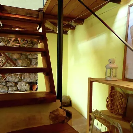 Dg Apartment